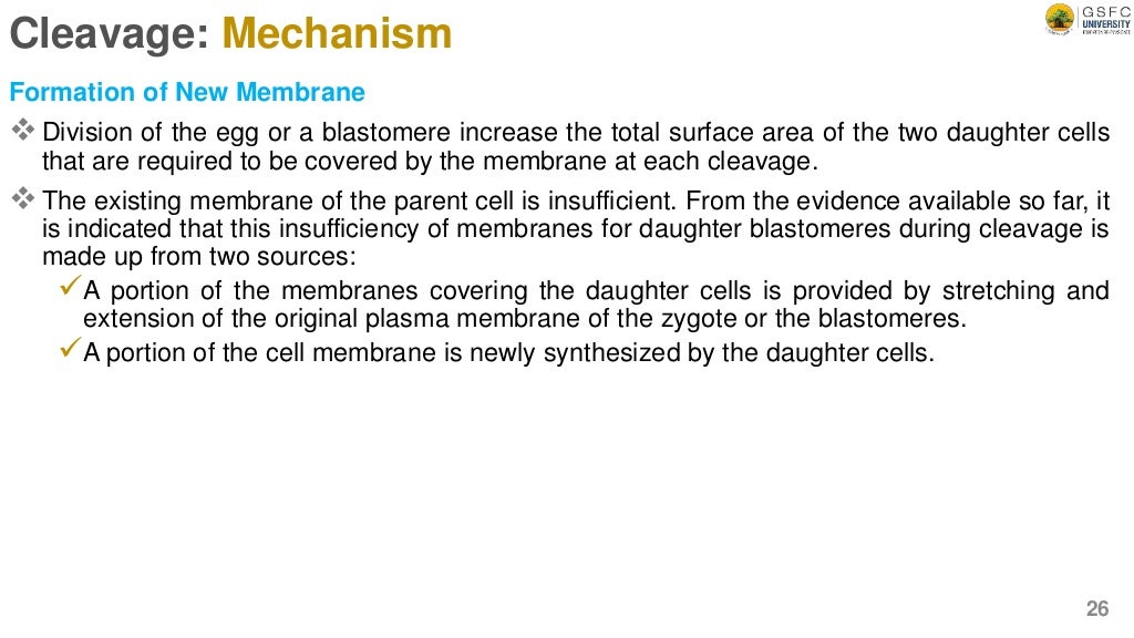 Cleavage Definition, types, and mechanism