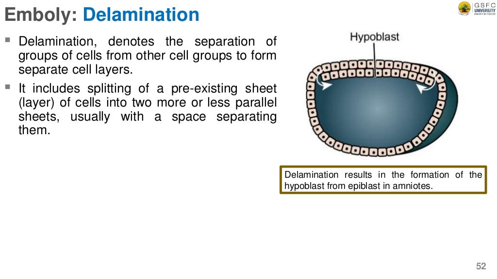 Cleavage Definition, types, and mechanism