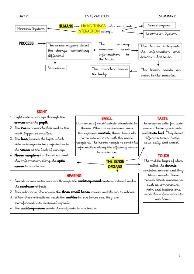 Unit 2 diagram