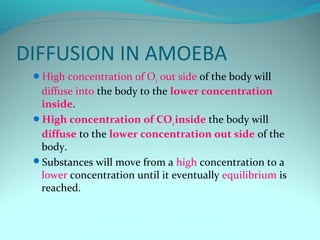 Unit 2 diffusion and osmosis | PPT