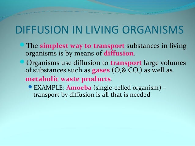 Unit 2 diffusion and osmosis