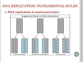 Comprehensive Overview of DNA Replication Mechanisms and Enzymes | PPTX