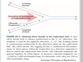 Comprehensive Overview of DNA Replication Mechanisms and Enzymes | PPTX
