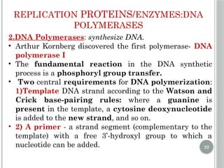 Comprehensive Overview of DNA Replication Mechanisms and Enzymes | PPTX