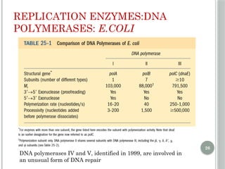 Comprehensive Overview of DNA Replication Mechanisms and Enzymes | PPTX