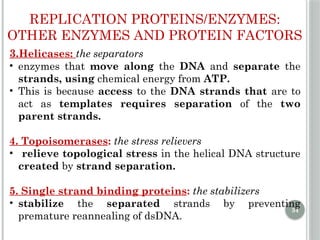 Comprehensive Overview of DNA Replication Mechanisms and Enzymes | PPTX
