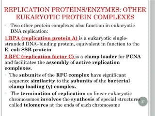 Comprehensive Overview of DNA Replication Mechanisms and Enzymes | PPTX