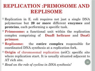 Comprehensive Overview of DNA Replication Mechanisms and Enzymes | PPTX