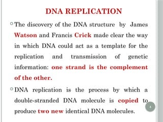 Comprehensive Overview of DNA Replication Mechanisms and Enzymes | PPTX