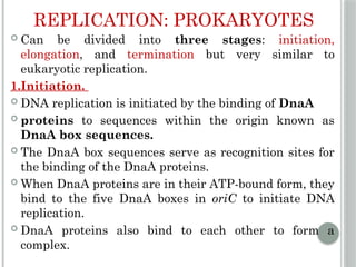 Comprehensive Overview of DNA Replication Mechanisms and Enzymes | PPTX