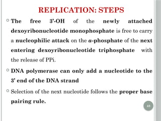 Comprehensive Overview of DNA Replication Mechanisms and Enzymes | PPTX