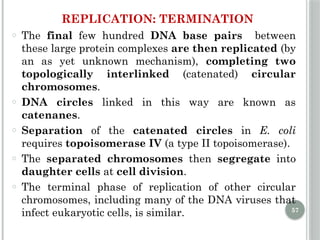 Comprehensive Overview of DNA Replication Mechanisms and Enzymes | PPTX