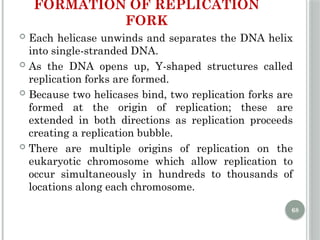 Comprehensive Overview of DNA Replication Mechanisms and Enzymes | PPTX