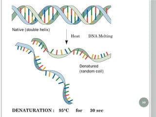 Comprehensive Overview of DNA Replication Mechanisms and Enzymes | PPTX