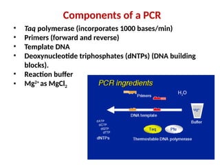 Comprehensive Overview of DNA Replication Mechanisms and Enzymes | PPTX