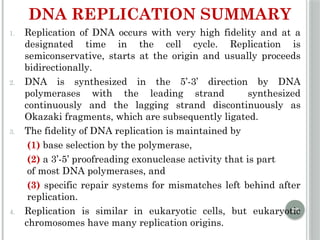 Comprehensive Overview of DNA Replication Mechanisms and Enzymes | PPTX