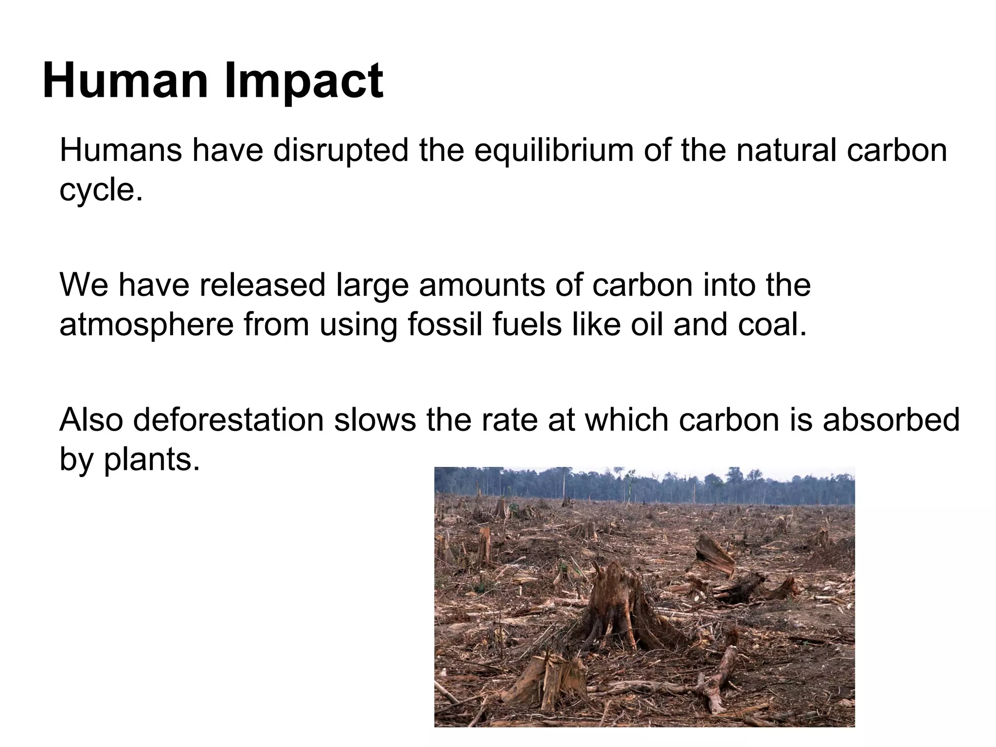Human Impact
Humans have disrupted the equilibrium of the natural carbon
cycle.
We have released large amounts of carbon into the
atmosphere from using fossil fuels like oil and coal.
Also deforestation slows the rate at which carbon is absorbed
by plants.

 