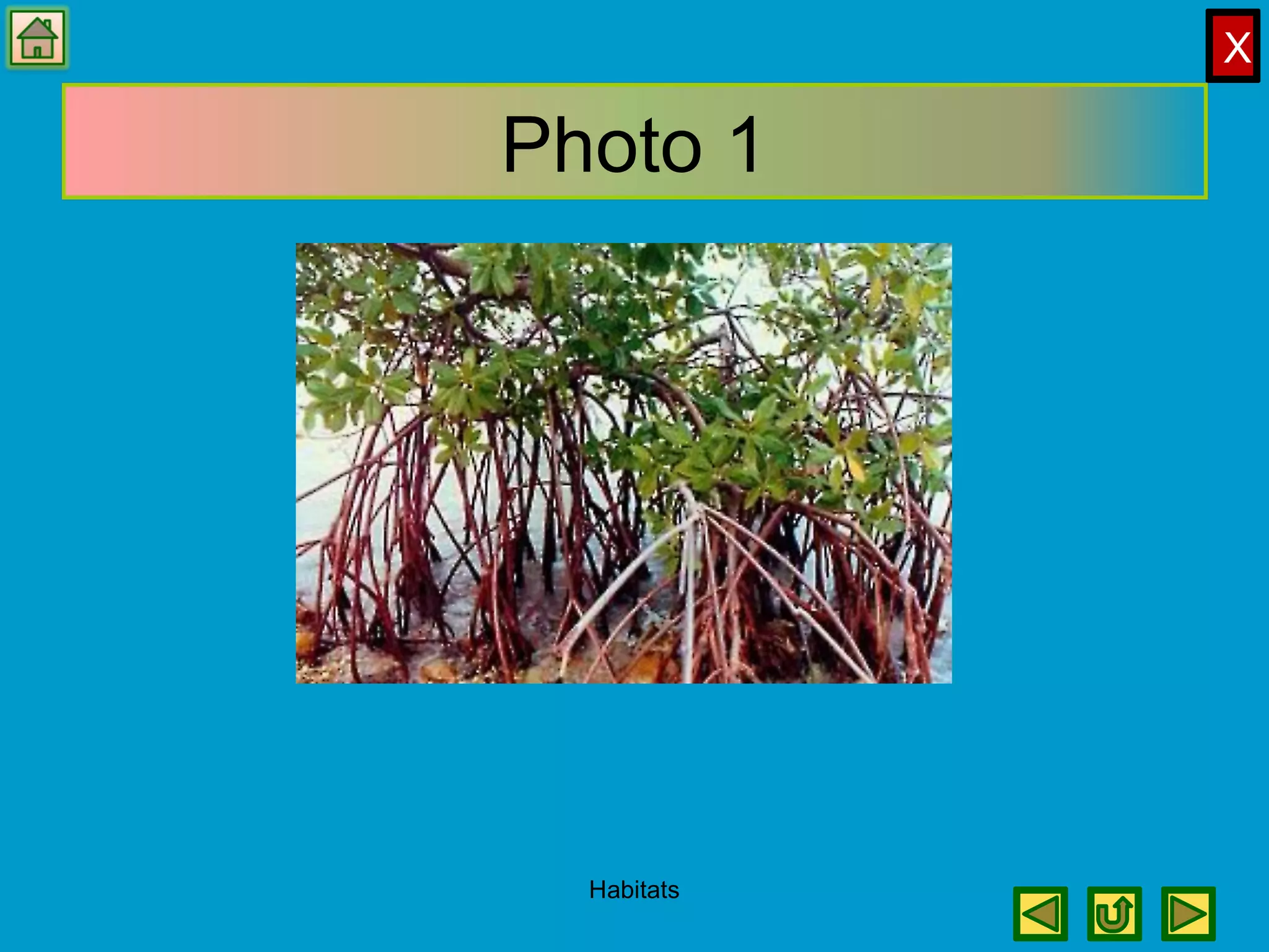X
Photo 1
Habitats
 