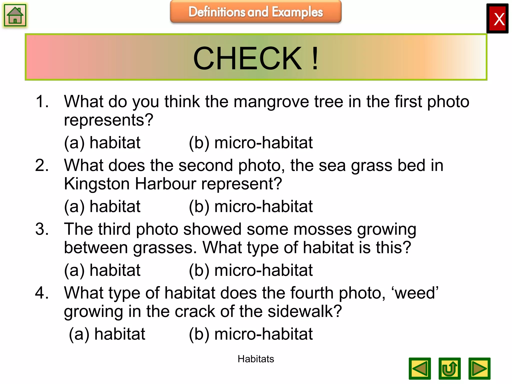X
CHECK !
1. What do you think the mangrove tree in the first photo
represents?
(a) habitat (b) micro-habitat
2. What does the second photo, the sea grass bed in
Kingston Harbour represent?
(a) habitat (b) micro-habitat
3. The third photo showed some mosses growing
between grasses. What type of habitat is this?
(a) habitat (b) micro-habitat
4. What type of habitat does the fourth photo, ‘weed’
growing in the crack of the sidewalk?
(a) habitat (b) micro-habitat
Habitats
 