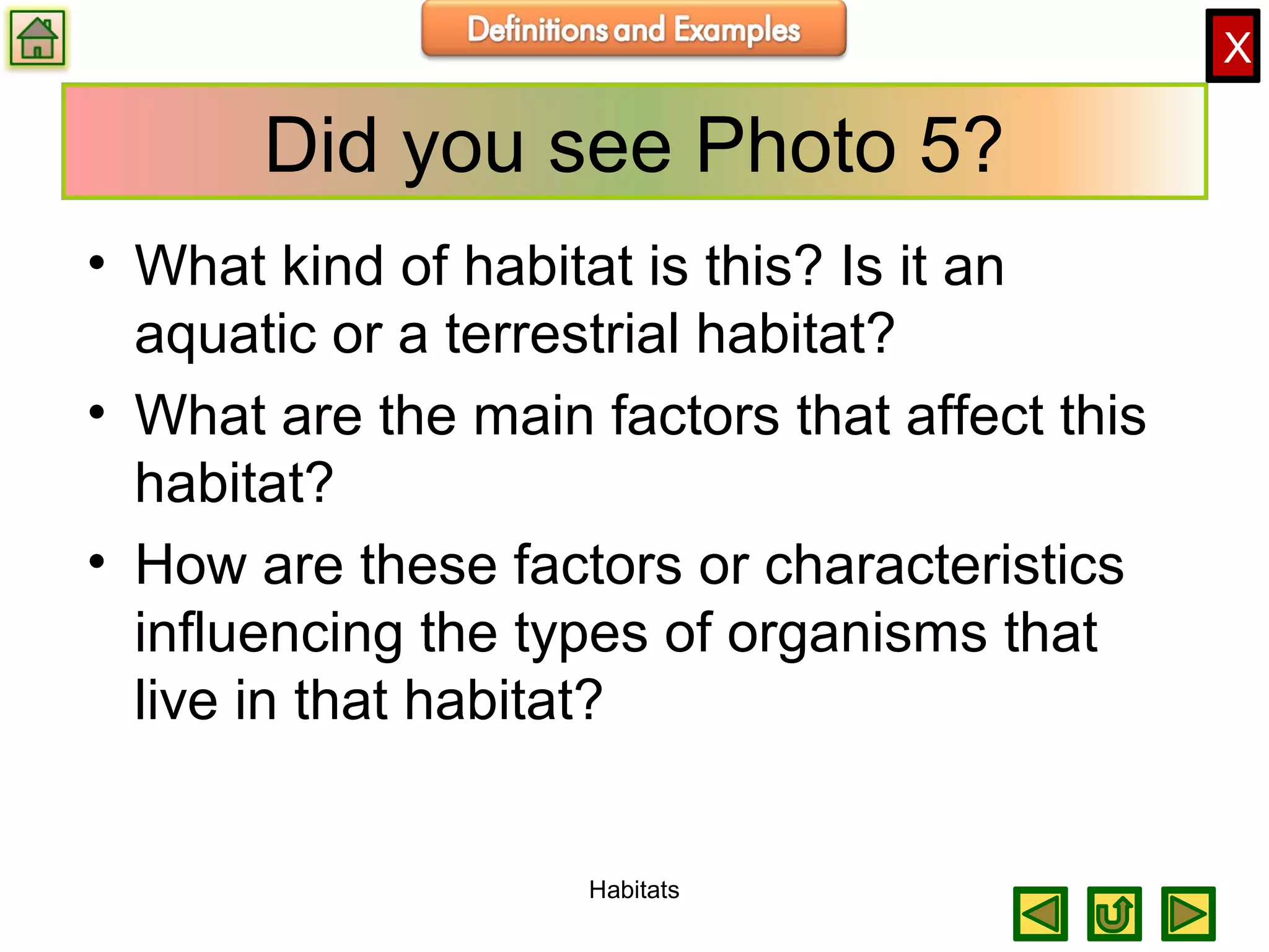 X
Did you see Photo 5?
• What kind of habitat is this? Is it an
aquatic or a terrestrial habitat?
• What are the main factors that affect this
habitat?
• How are these factors or characteristics
influencing the types of organisms that
live in that habitat?
Habitats
 