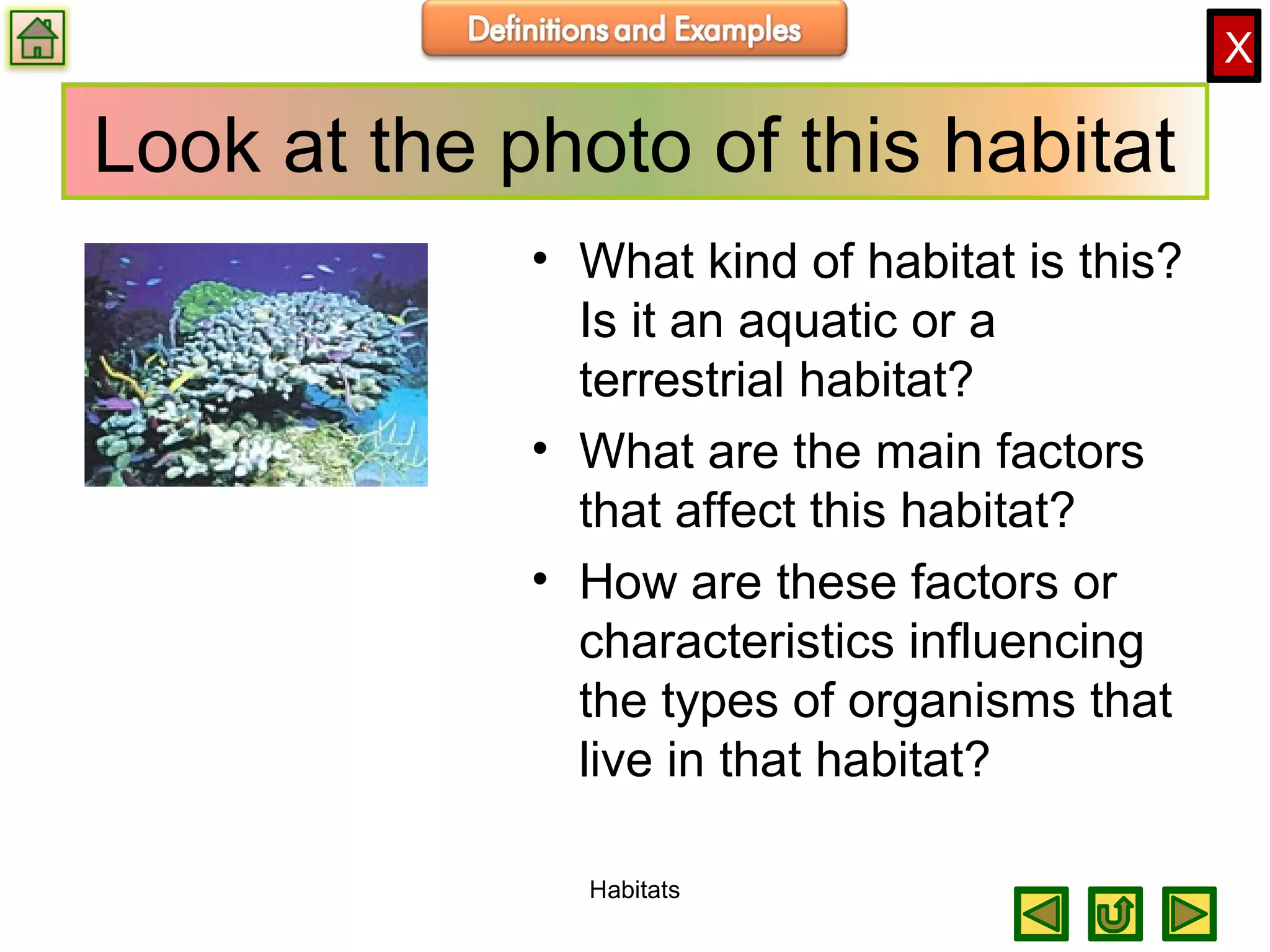 X
Look at the photo of this habitat
• What kind of habitat is this?
Is it an aquatic or a
terrestrial habitat?
• What are the main factors
that affect this habitat?
• How are these factors or
characteristics influencing
the types of organisms that
live in that habitat?
Habitats
 
