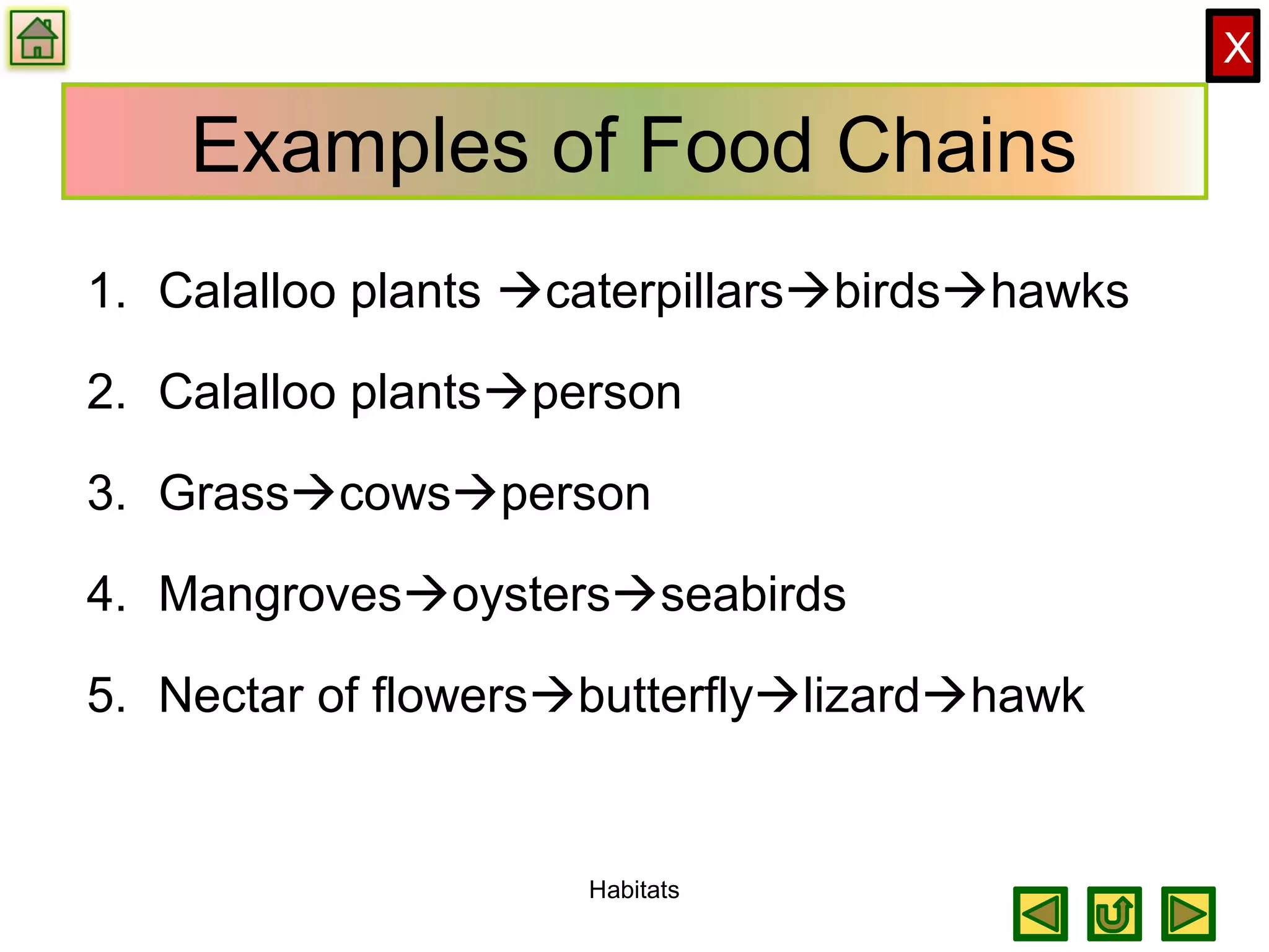 X
Examples of Food Chains
1. Calalloo plants caterpillarsbirdshawks
2. Calalloo plantsperson
3. Grasscowsperson
4. Mangrovesoystersseabirds
5. Nectar of flowersbutterflylizardhawk
Habitats
 