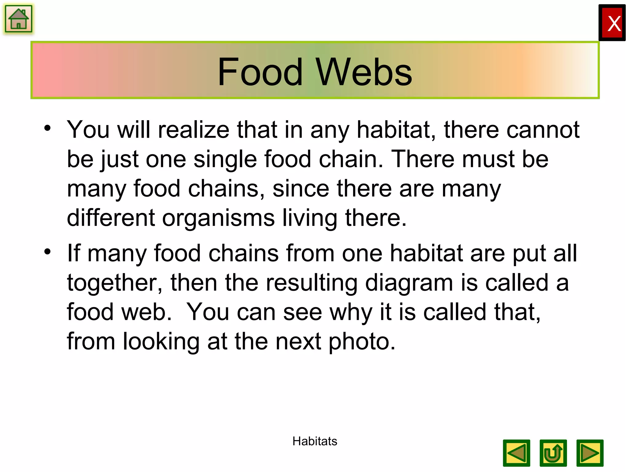 X
Food Webs
• You will realize that in any habitat, there cannot
be just one single food chain. There must be
many food chains, since there are many
different organisms living there.
• If many food chains from one habitat are put all
together, then the resulting diagram is called a
food web. You can see why it is called that,
from looking at the next photo.
Habitats
 