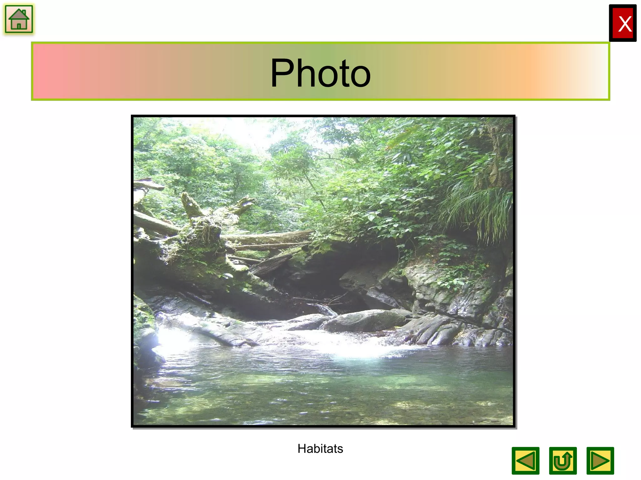 X
Photo
Habitats
 