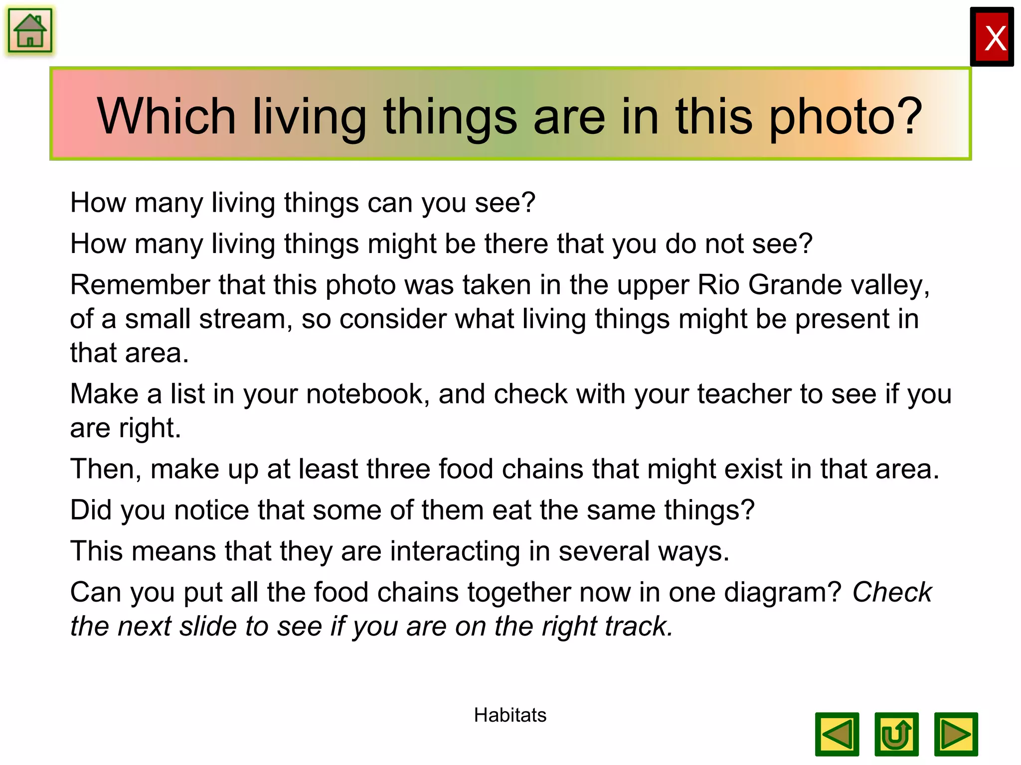 X
Which living things are in this photo?
How many living things can you see?
How many living things might be there that you do not see?
Remember that this photo was taken in the upper Rio Grande valley,
of a small stream, so consider what living things might be present in
that area.
Make a list in your notebook, and check with your teacher to see if you
are right.
Then, make up at least three food chains that might exist in that area.
Did you notice that some of them eat the same things?
This means that they are interacting in several ways.
Can you put all the food chains together now in one diagram? Check
the next slide to see if you are on the right track.
Habitats
 