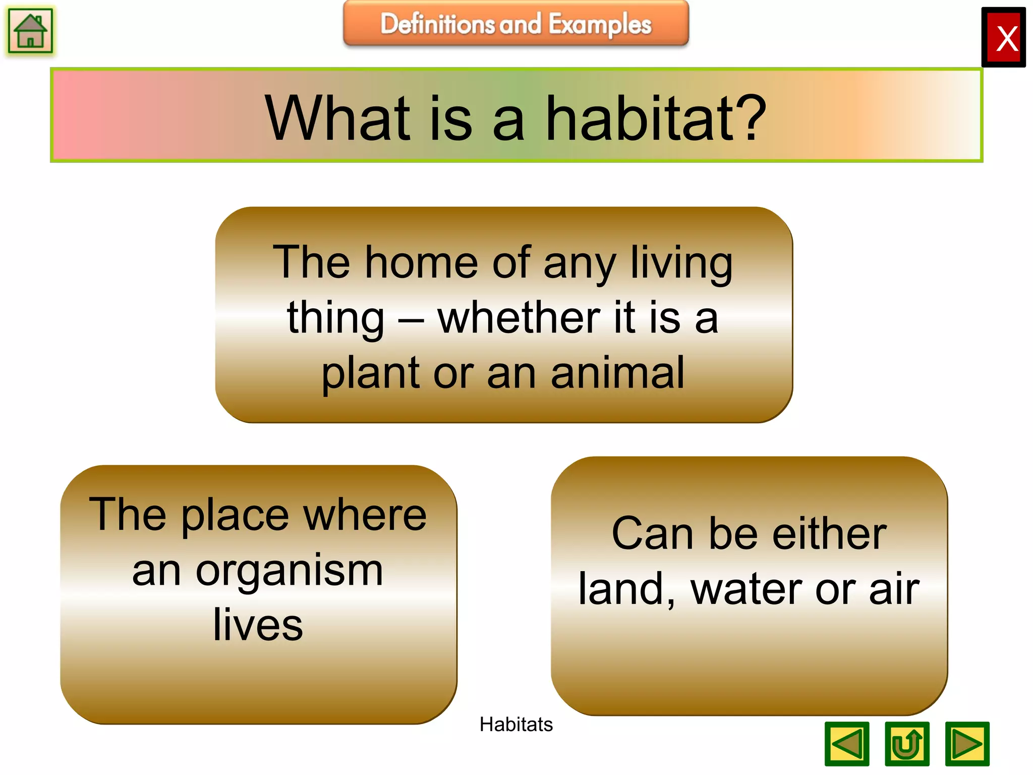 X
What is a habitat?
The place where
an organism
lives
The place where
an organism
lives
Can be either
land, water or air
Can be either
land, water or air
The home of any living
thing – whether it is a
plant or an animal
The home of any living
thing – whether it is a
plant or an animal
Habitats
 