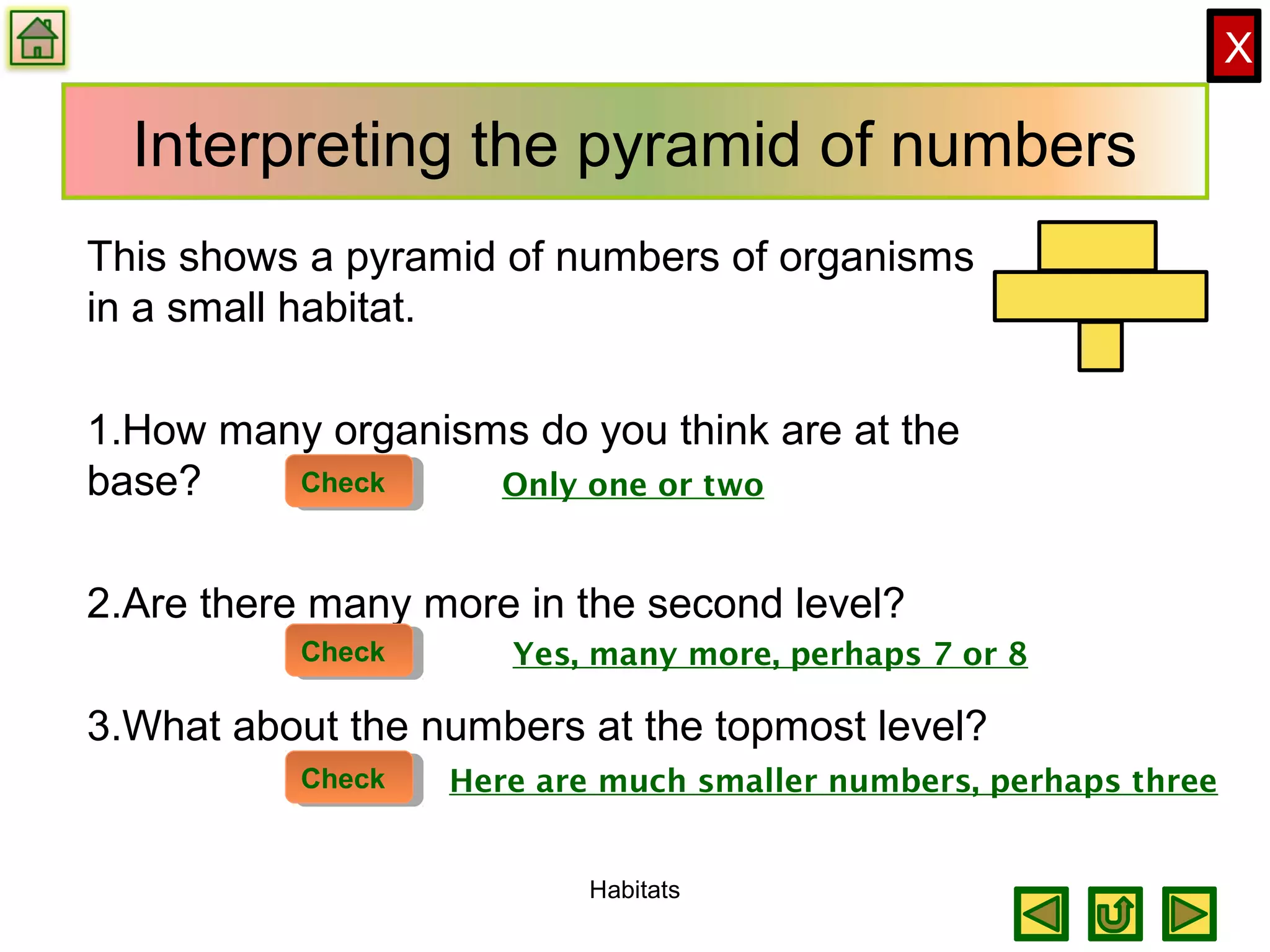 X
Interpreting the pyramid of numbers
This shows a pyramid of numbers of organisms
in a small habitat.
1.How many organisms do you think are at the
base?
2.Are there many more in the second level?
3.What about the numbers at the topmost level?
Habitats
CheckCheck Only one or two
Yes, many more, perhaps 7 or 8CheckCheck
CheckCheck Here are much smaller numbers, perhaps three
 