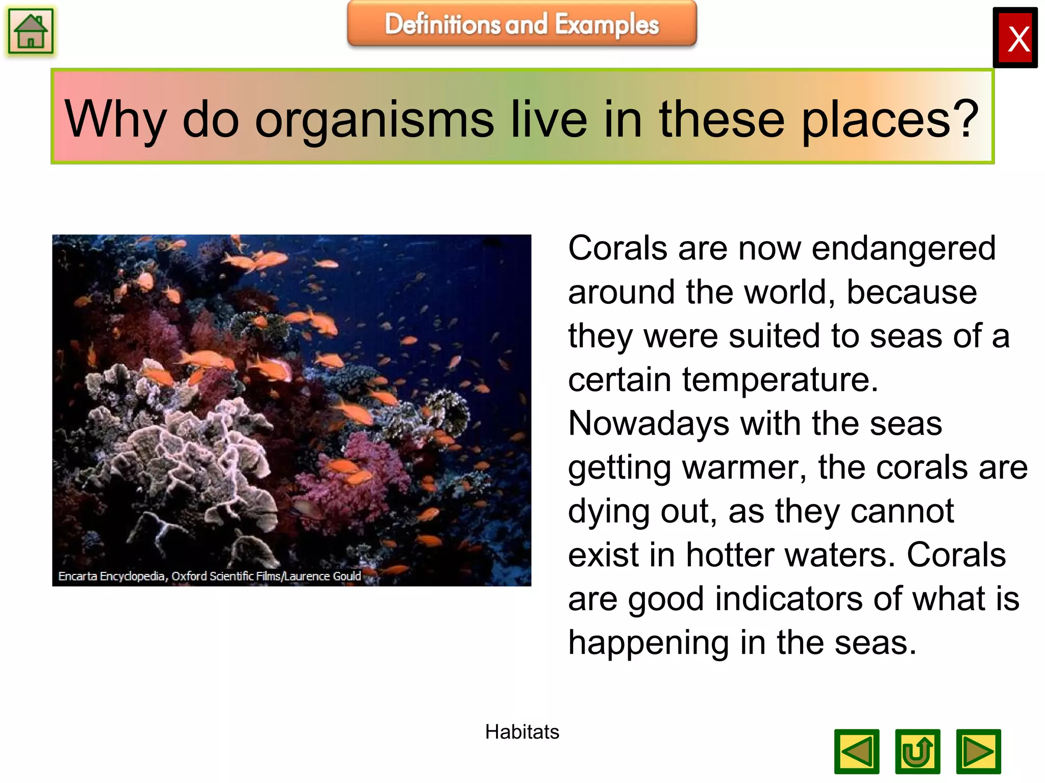 X
Why do organisms live in these places?
Corals are now endangered
around the world, because
they were suited to seas of a
certain temperature.
Nowadays with the seas
getting warmer, the corals are
dying out, as they cannot
exist in hotter waters. Corals
are good indicators of what is
happening in the seas.
Habitats
 