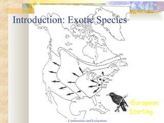 Introduction: Exotic Species Ecology I:  Species, Populations, Communities and Ecosystems European Starling 