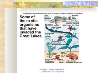 Ecology I:  Species, Populations, Communities and Ecosystems 