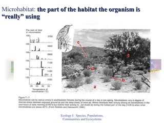 Microhabitat:  the part of the habitat the organism is “really” using Ecology I:  Species, Populations, Communities and Ecosystems 
