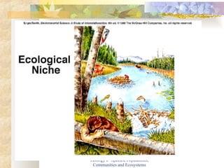 Ecology I:  Species, Populations, Communities and Ecosystems 