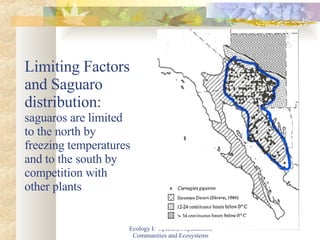 Limiting Factors and Saguaro distribution: saguaros are limited to the north by freezing temperatures and to the south by competition with other plants Ecology I:  Species, Populations, Communities and Ecosystems 