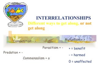 INTERRELATIONSHIPS Different ways to get along,   or not get along Predation + - Competition - - Parasitism + - Commensalism + o Mutualism + + + = benefit = harmed 0 = unaffected 