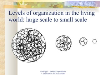 Levels of organization in the living world: large scale to small scale Ecology I:  Species, Populations, Communities and Ecosystems 