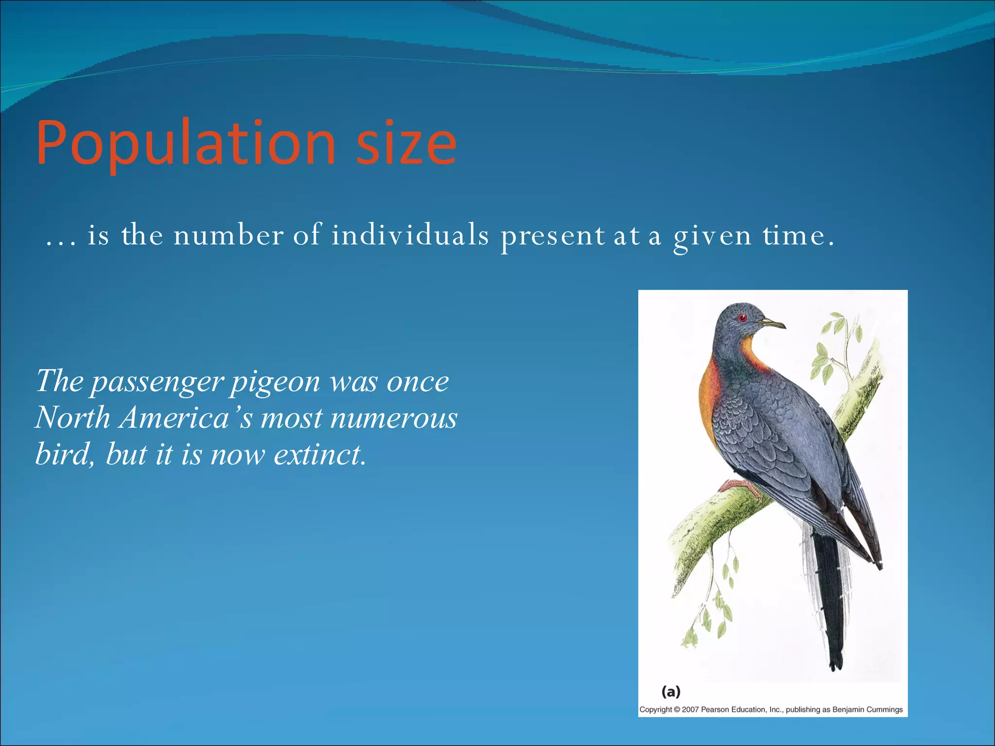 Population size …  is the number of individuals present at a given time. The passenger pigeon was once  North America’s most numerous bird, but it is now extinct. 