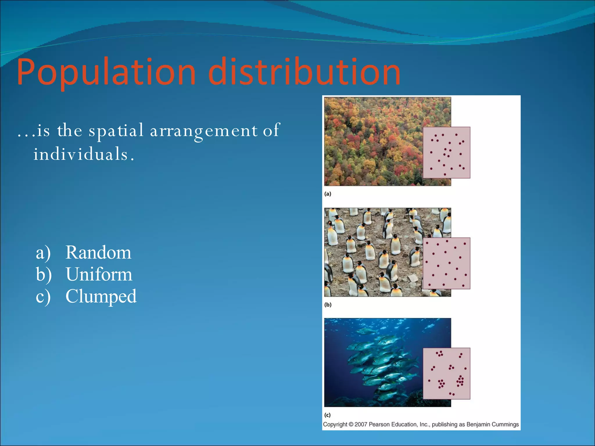 Population distribution … is the spatial arrangement of individuals. Random Uniform Clumped  