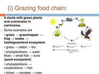 Unit 2 Ecosystem edited.pptx and environment | PPTX