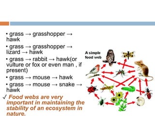 Unit 2 Ecosystem edited.pptx and environment | PPTX