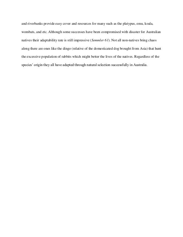 Hiv Essay Paper Australias Deciduous Forests Rainforests And Essay On Healthy Living also Ap English Essays Unitessayaustralian Animal Adaptation English Essay Internet