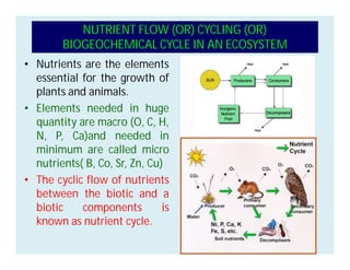 NUTRIENT FLOW (OR) CYCLING (OR)
BIOGEOCHEMICAL CYCLE IN AN ECOSYSTEM
• Nutrients are the elements
essential for the growth of
plants and animals.
• Elements needed in huge
quantity are macro (O, C, H,
N, P, Ca)and needed in
minimum are called micro
nutrients( B, Co, Sr, Zn, Cu)
• The cyclic flow of nutrients
between the biotic and a
biotic components is
known as nutrient cycle.
 