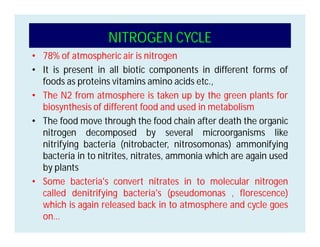 • 78% of atmospheric air is nitrogen
• It is present in all biotic components in different forms of
foods as proteins vitamins amino acids etc.,
• The N2 from atmosphere is taken up by the green plants for
biosynthesis of different food and used in metabolism
• The food move through the food chain after death the organic
nitrogen decomposed by several microorganisms like
nitrifying bacteria (nitrobacter, nitrosomonas) ammonifying
bacteria in to nitrites, nitrates, ammonia which are again used
by plants
• Some bacteria's convert nitrates in to molecular nitrogen
called denitrifying bacteria's (pseudomonas , florescence)
which is again released back in to atmosphere and cycle goes
on…
NITROGEN CYCLE
 