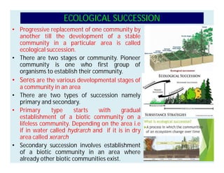ECOLOGICAL SUCCESSION
• Progressive replacement of one community by
another till the development of a stable
community in a particular area is called
ecological succession.
• There are two stages or community. Pioneer
community is one who first group of
organisms to establish their community.
• Seres are the various developmental stages of
a community in an area
• There are two types of succession namely
primary and secondary.
• Primary type starts with gradual
establishment of a biotic community on a
lifeless community. Depending on the area i.e
if in water called hydrarch and if it is in dry
area called xerarch
• Secondary succession involves establishment
of a biotic community in an area where
already other biotic communities exist.
 