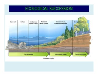 ECOLOGICAL SUCCESSION
 
