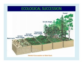 ECOLOGICAL SUCCESSION
 