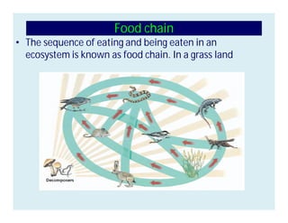 Food chain
• The sequence of eating and being eaten in an
ecosystem is known as food chain. In a grass land
 